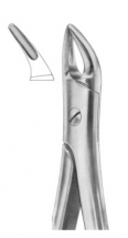  Fig. 76N upper roots 